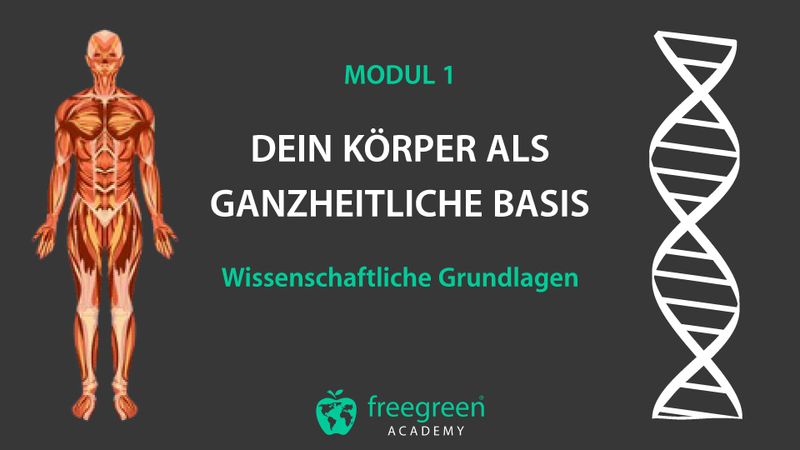 Modul 1: Dein Körper als ganzheitliche Basis