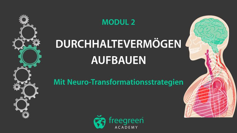 Modul 2: Durchhaltevermögen aufbauen