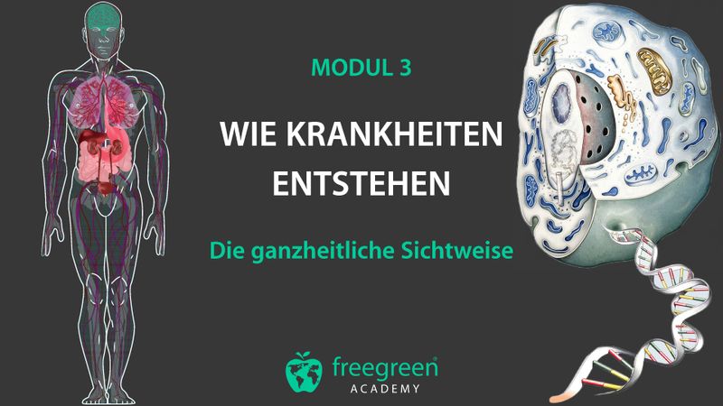 Modul 3: Wie Krankheiten entstehen