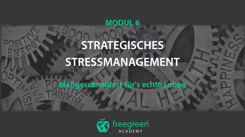 Modul 6: Strategisches Stressmanagement
